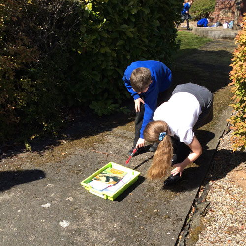 Students at St Wilfrids doing a science experiment outside